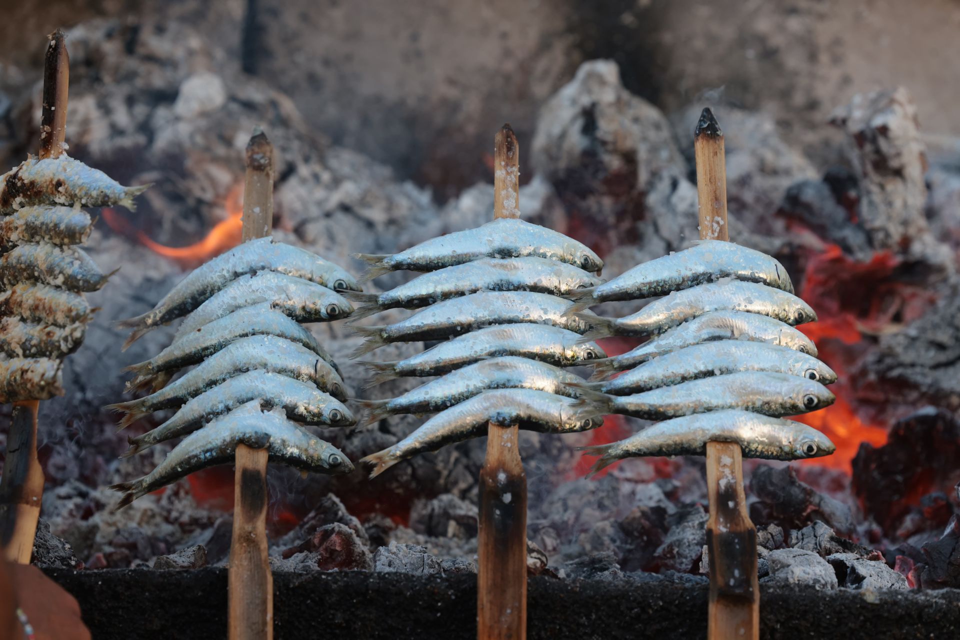 Finalists in the search for the best sardines on the Costa del Sol, in
